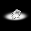 anello ita